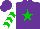 Silk - Purple, green star, white sleeves, green chevrons