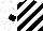 Silk - White and black diagonal stripes, white sleeves, black hoop