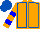 Silk - Orange, royal blue trim, blue zigzag hoops on sleeves, logo on back, mat cap