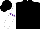 Silk - Black, white sleeves, purple diamond hoop