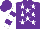 Silk - Purple, white stars, purple hoops on white sleeves