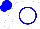 Silk - White, sunflower in blue circle, blue circle on white sleeves, white and blue cap