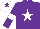 Silk - Purple, white star and armlets, white cap, purple star