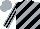 Silk - Silver, black diagonal stripes, silver stripes on black sleeves