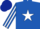 Silk - Royal Blue, White star, striped sleeves, Dark Blue cap