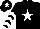 Silk - Black, white star, chevrons on sleeves, black cap, white ite star