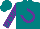 Silk - Teal, purple horseshoe 'jh' on back, teal horseshoes on purple sleeves