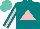 Silk - Teal, pink triangle, pink stripe on sleeves, turquoise cap
