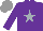 Silk - Purple, silver star, grey cap