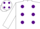 Silk - WHITE, purple spots, white sleeves, white cap, purple spots