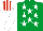 Silk - Emerald green, white stars, white sleeves, white & red striped cap