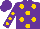 Silk - Purple, gold dots, gold dots on sleeves