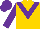 Silk - Gold, purple 'v', purple sleeves, purple cap