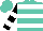 Silk - Turquoise, black and white hoops, black and white bars on sleeves, turquoise cap