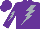 Silk - Purple, silver lightning bolt, silver lightning bolt on sleeves