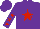 Silk - Purple, red 'sg' in red star frame, red stars on sleeves