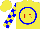 Silk - Yellow, blue circle, red 'ihr,' blue blocks on slvs