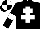 Silk - Black, white cross of lorraine and armlets, quartered cap