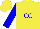 Silk - Yellow, blue sleeves, 'cc' on front