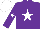Silk - Purple, white star, white star on sleeves, white cap