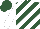 Silk - Hunter green, white diagonal stripes, white sleeves