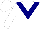 Silk - White , navy blue ' v'  emblem, navy blue v sleeves