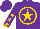 Silk - Purple, gold star circle, gold stars and cuffs on sleeves