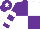 Silk - Purple and white (quartered), hooped sleeves, purple cap, white star