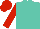 Silk - Turquoise, Turquoise Star, Red Sleeves, Red Cap