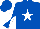 Silk - Royal blue, white star emblem, royal blue and white diagonally quartered sleeves