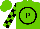 Silk - Light green, black circled black 'p', black blocks on slvs