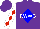Silk - Purple, white 'rwwg'  in orange frame, blue diamond, red diamond stripe on white sleeves
