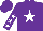 Silk - Purple, white star, purple 'xtreme', white stars on sleeves