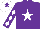 Silk - Purple, white star, purple sleeves, white diamonds, white cap, purple star