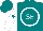 Silk - Teal, white circled 'se', teal star on white sleeves