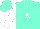 Silk - Aqua, white 'k', white sleeves