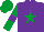 Silk - Purple, emerald green star, emerald green sleeves, purple armlets and star on emerald green cap