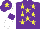 Silk - Purple, yellow stars, white sleeves, purple armlets, purple cap, yellow star