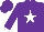Silk - Purple, white star, white cuffs on purple sleeves