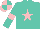Silk - Turquoise, pink star, pink armlets on sleeves, pink and turquoise quartered cap