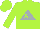 Silk - Lime green, lime green 'al' in silver triangle