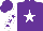 Silk - Purple, white star, purple stars on white sleeves