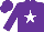 Silk - Purple, white horse shoe, white star on purple cap