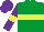 Silk - Emerald green, yellow hoop, purple sleeves, yellow armlets, purple cap
