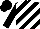 Silk - Black and white diagonal stripes, black cap