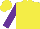 Silk - Yellow with purple 'gt' on back,purple sleeves