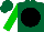 Silk - Forest green, black disc, black circle on green sleeves