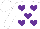 Silk - White, purple hearts