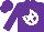Silk - Purple, white horseshoe, white star on purple cap