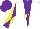 Silk - White, purple triangular panel, purple and yellow diagonal quartered sleeves, purple cap, yellow 'rv'
